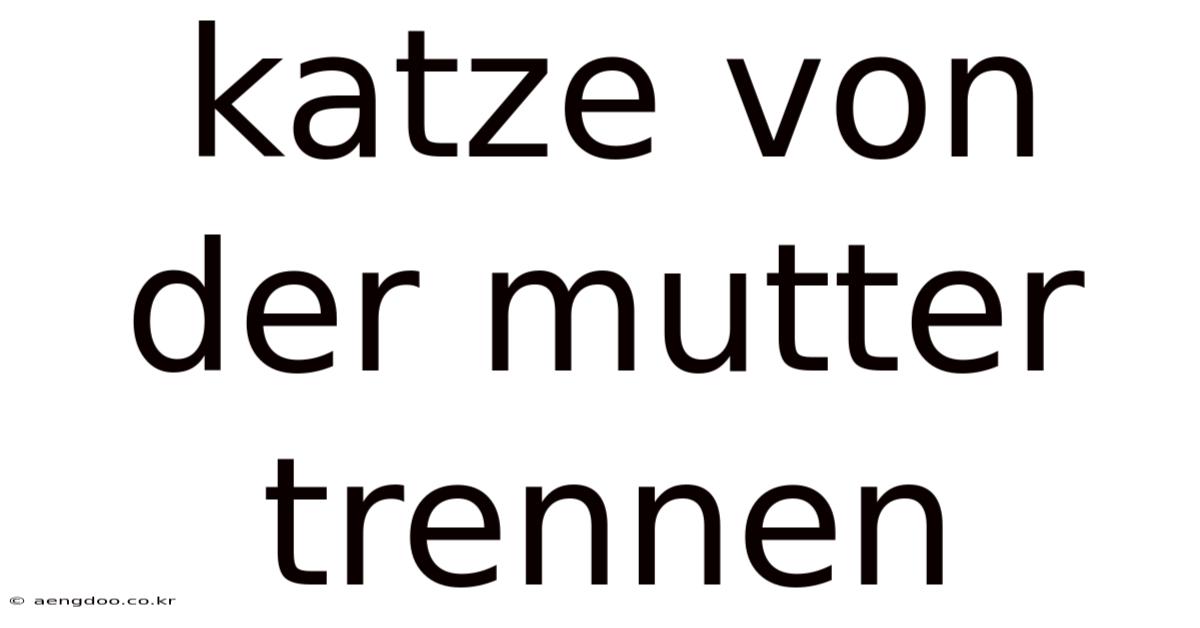 Katze Von Der Mutter Trennen