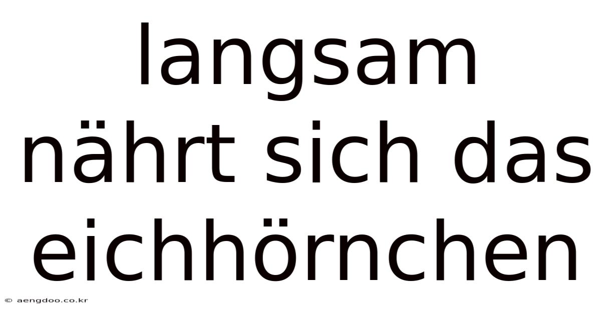 Langsam Nährt Sich Das Eichhörnchen