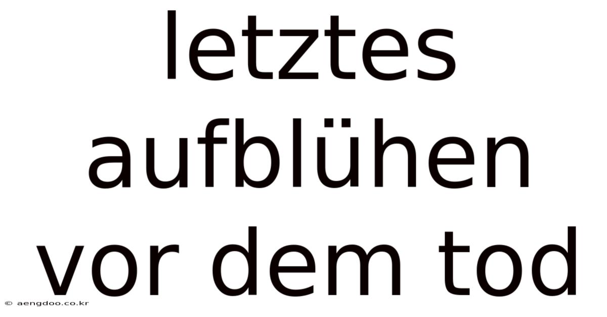 Letztes Aufblühen Vor Dem Tod