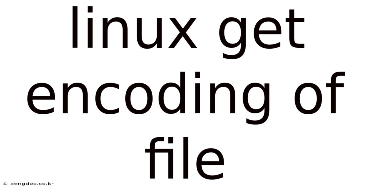Linux Get Encoding Of File