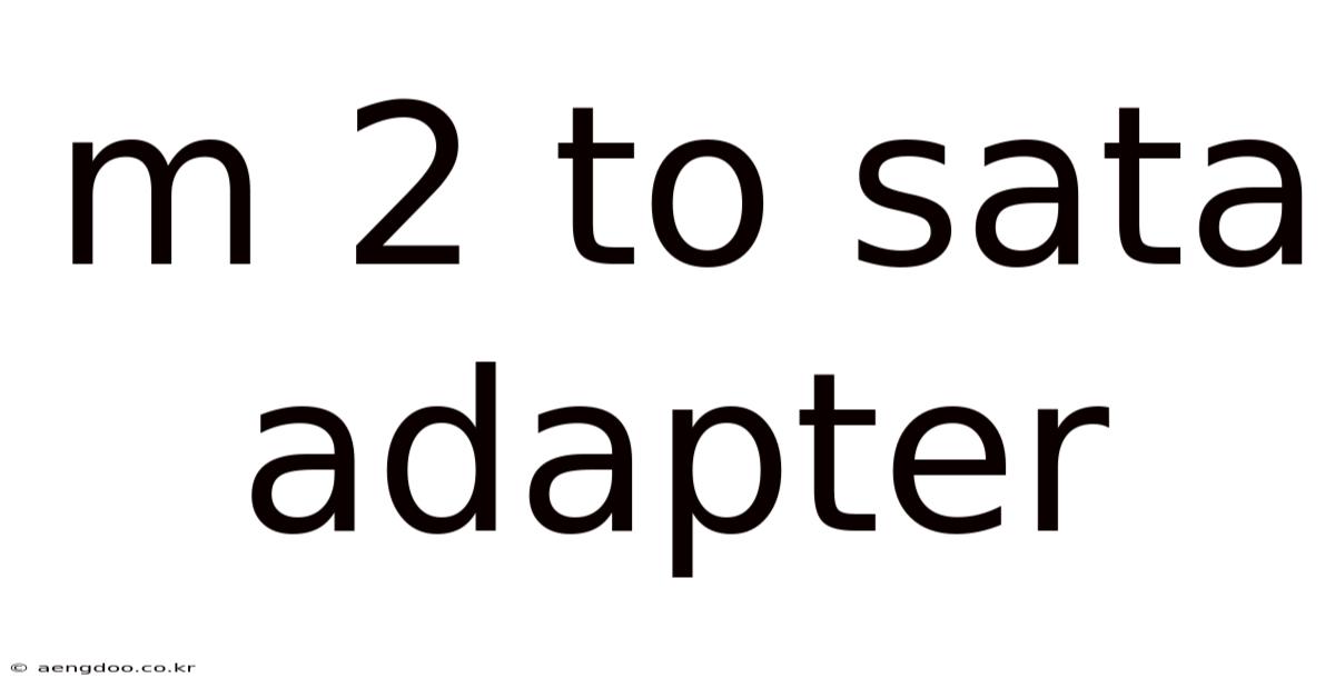 M 2 To Sata Adapter