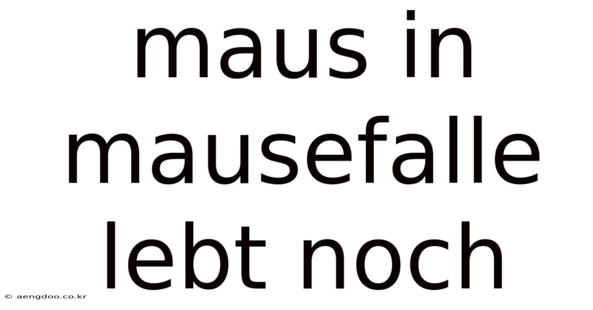 Maus In Mausefalle Lebt Noch