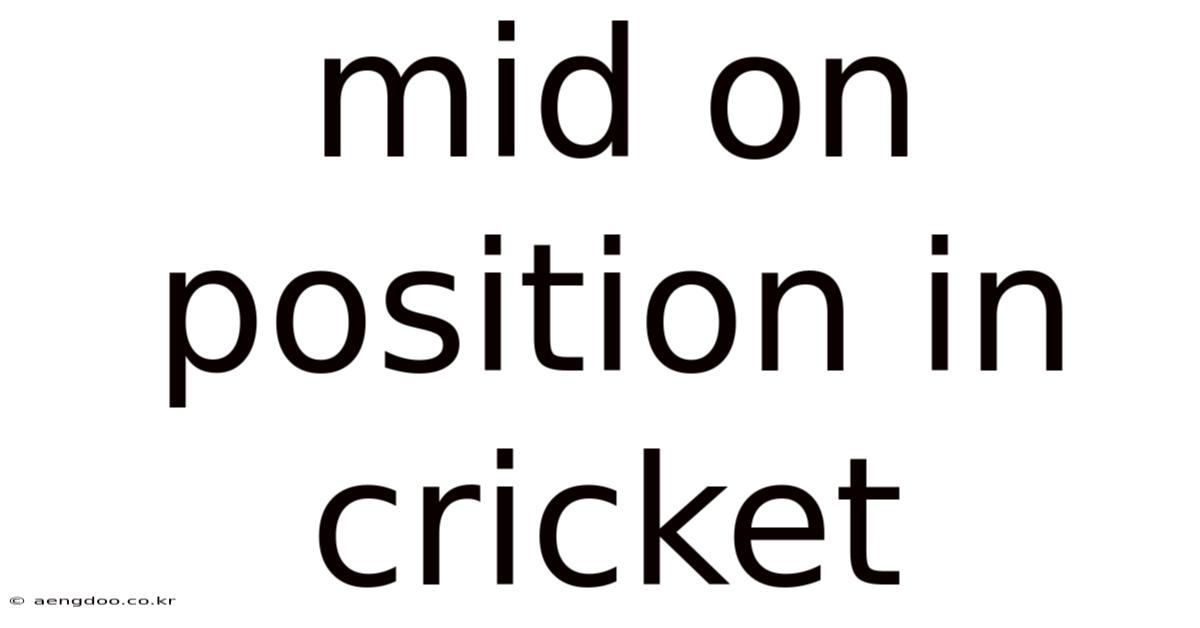 Mid On Position In Cricket