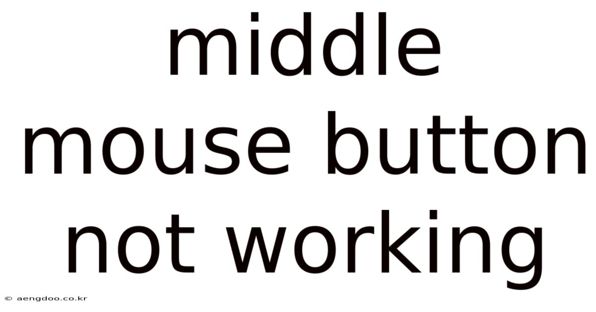 Middle Mouse Button Not Working