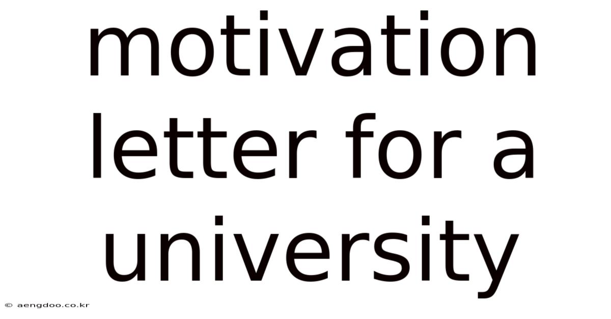 Motivation Letter For A University