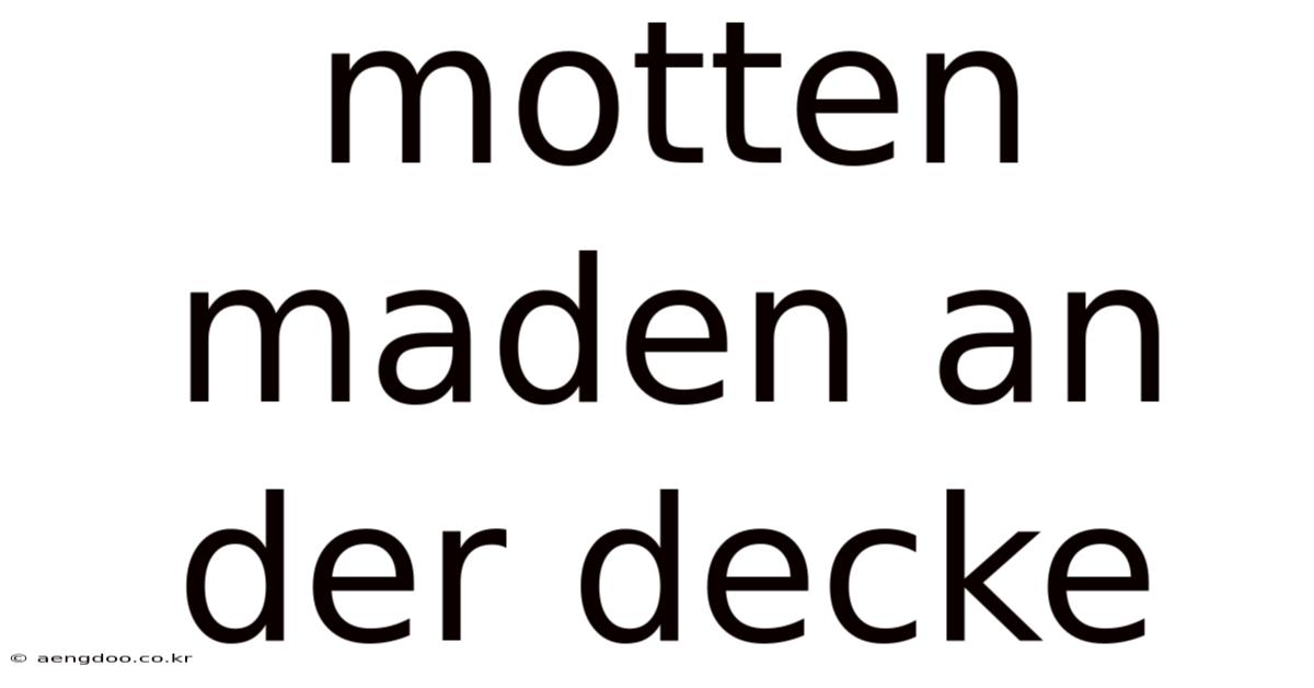 Motten Maden An Der Decke