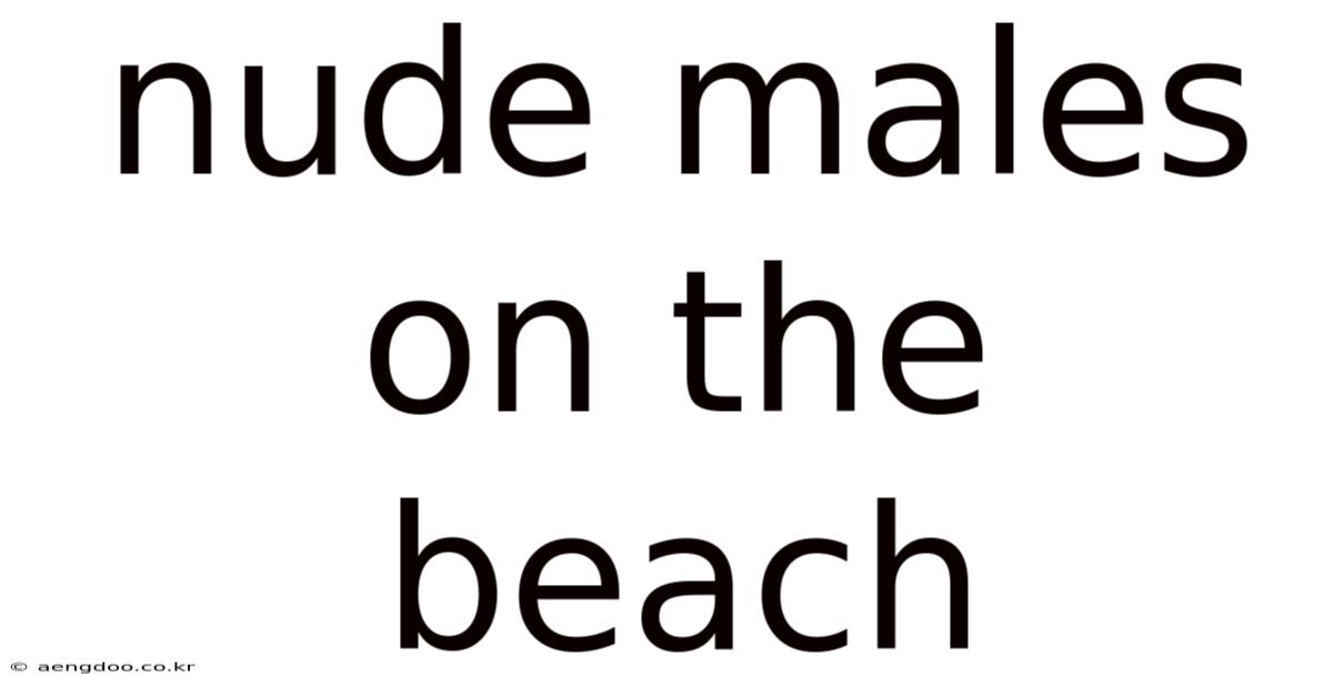 Nude Males On The Beach