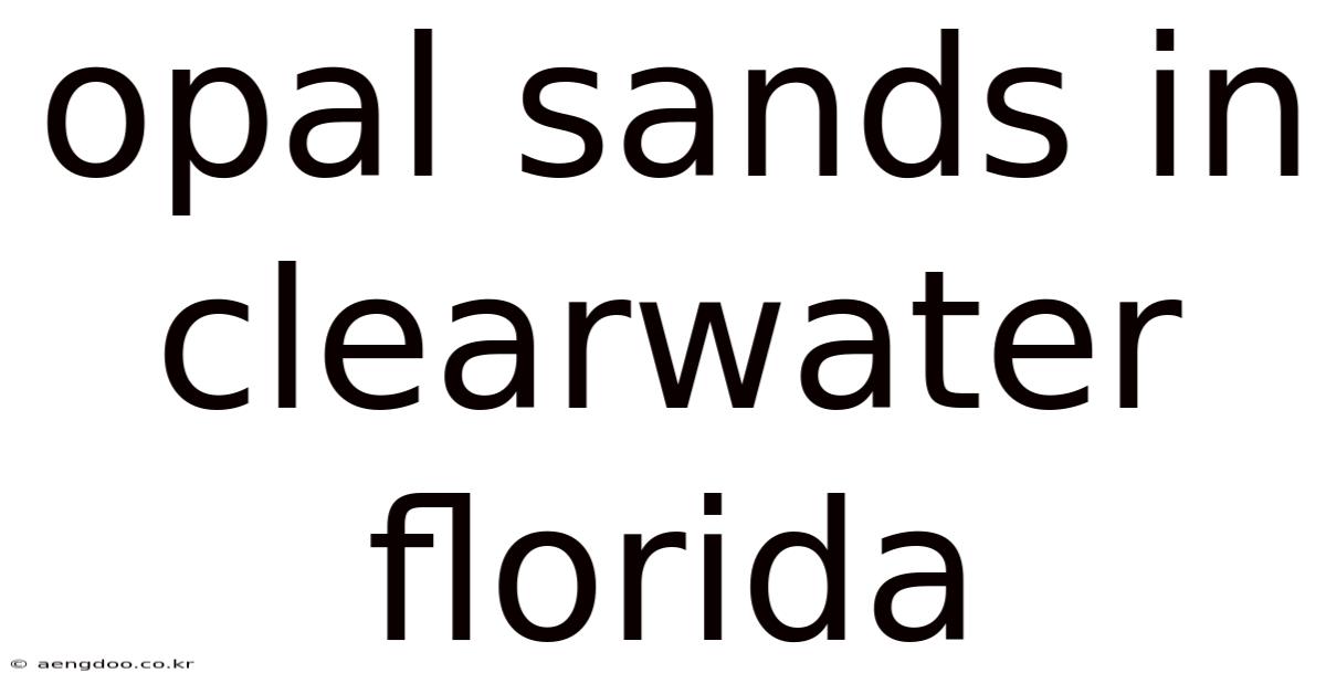 Opal Sands In Clearwater Florida