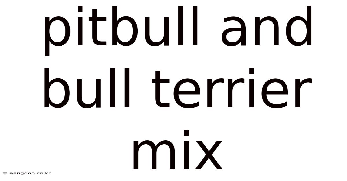 Pitbull And Bull Terrier Mix