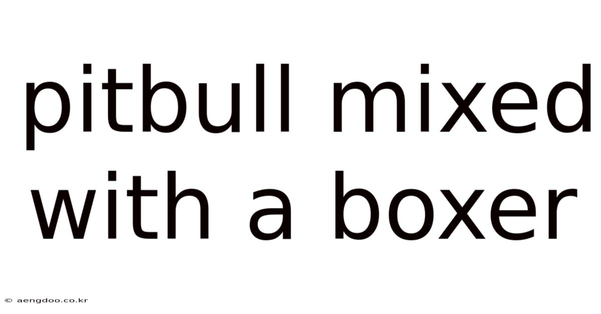 Pitbull Mixed With A Boxer