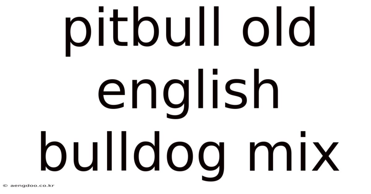 Pitbull Old English Bulldog Mix