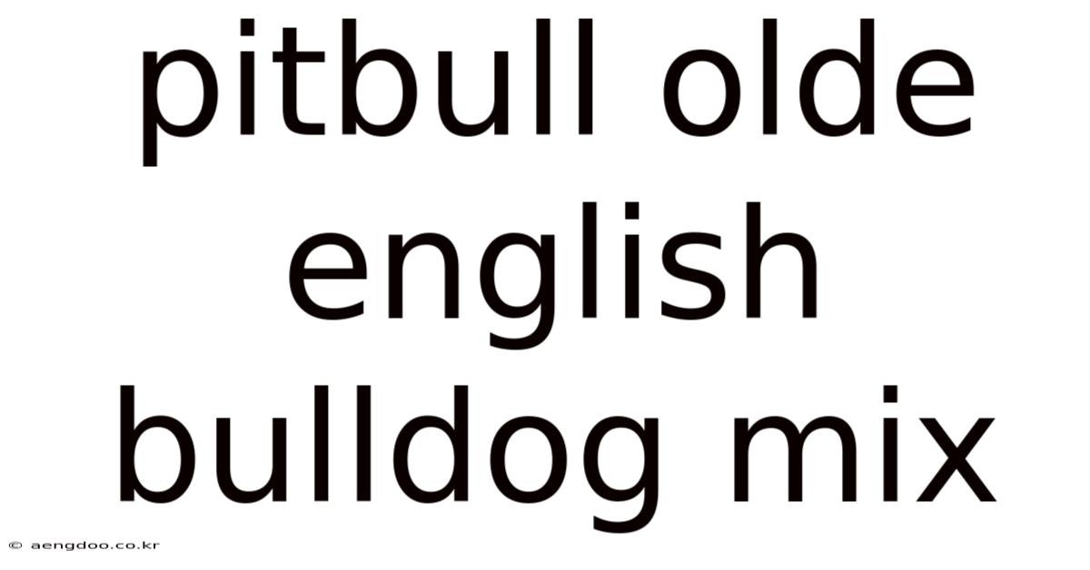 Pitbull Olde English Bulldog Mix