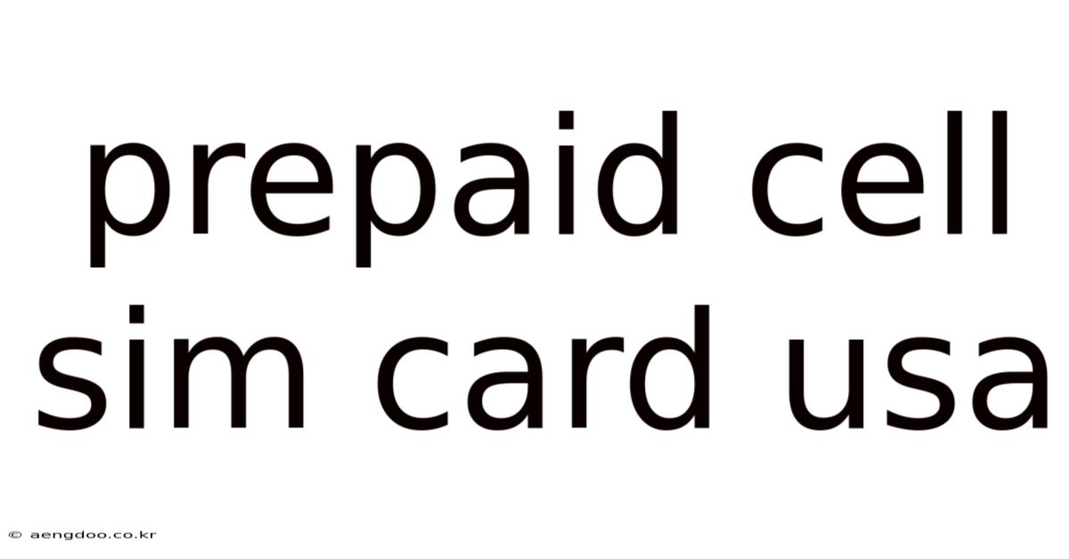 Prepaid Cell Sim Card Usa