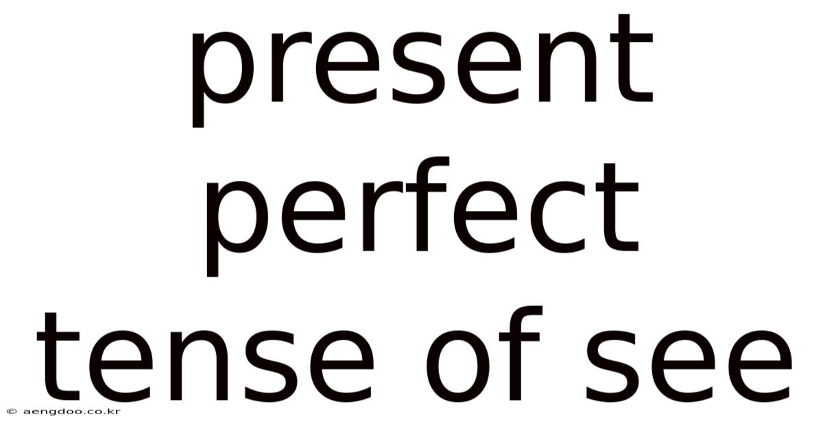 Present Perfect Tense Of See