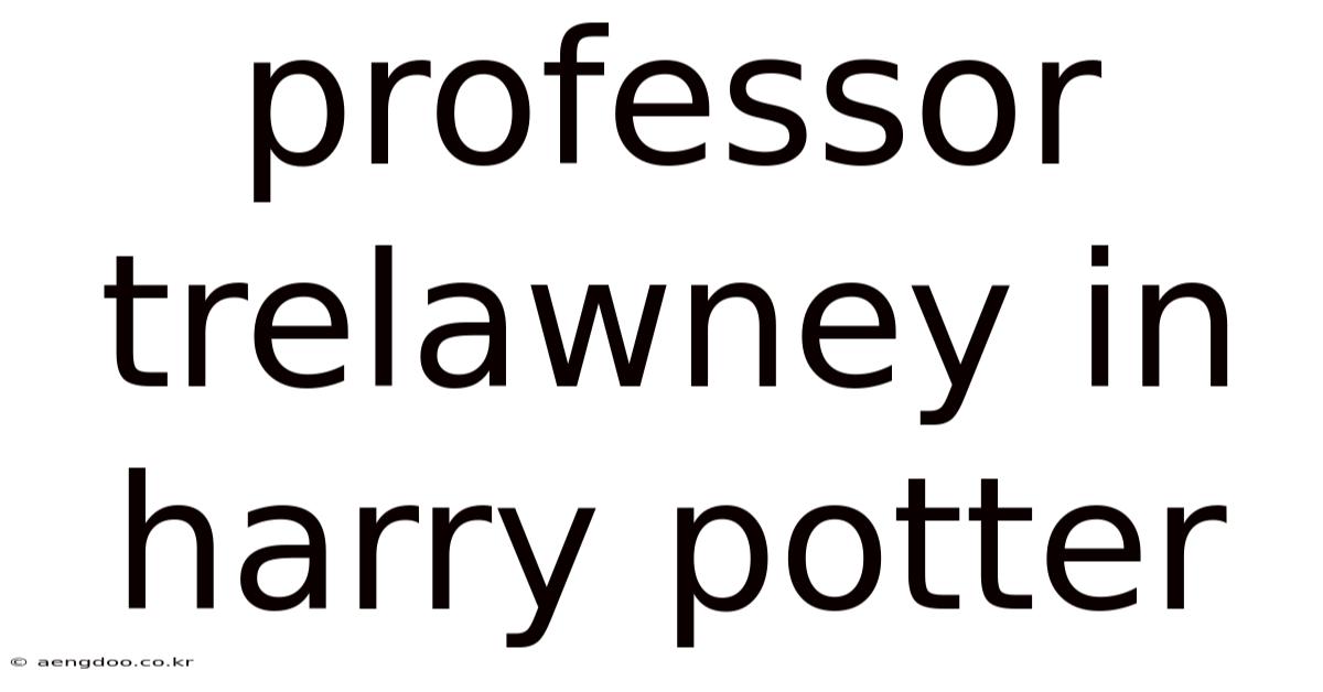 Professor Trelawney In Harry Potter