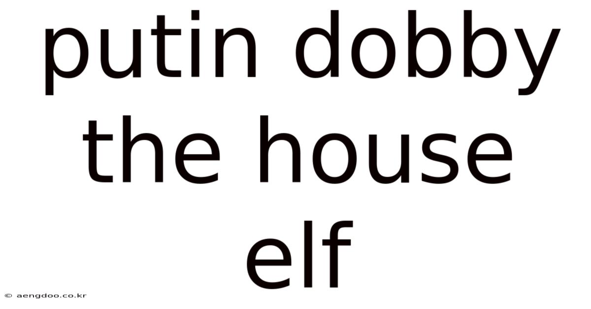 Putin Dobby The House Elf