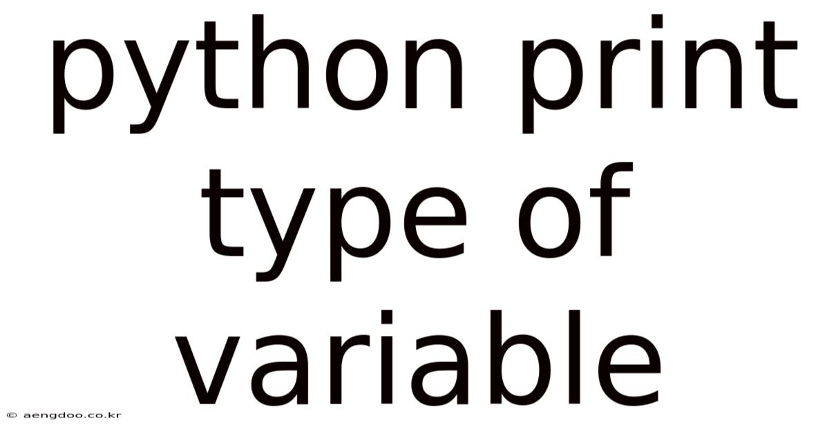 Python Print Type Of Variable