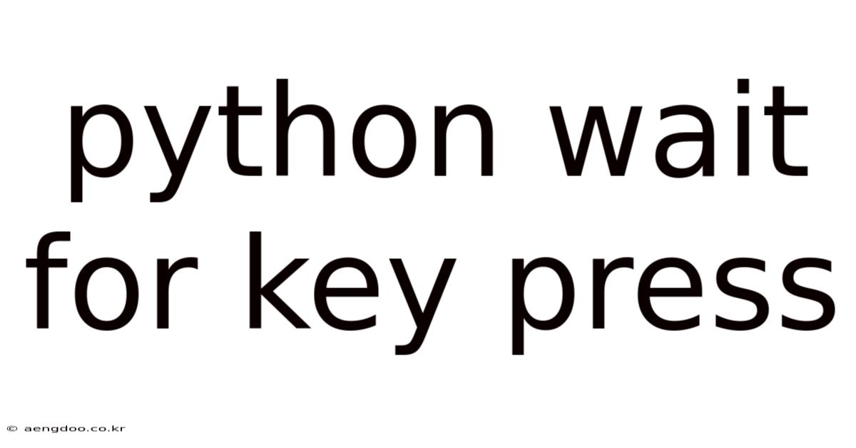 Python Wait For Key Press