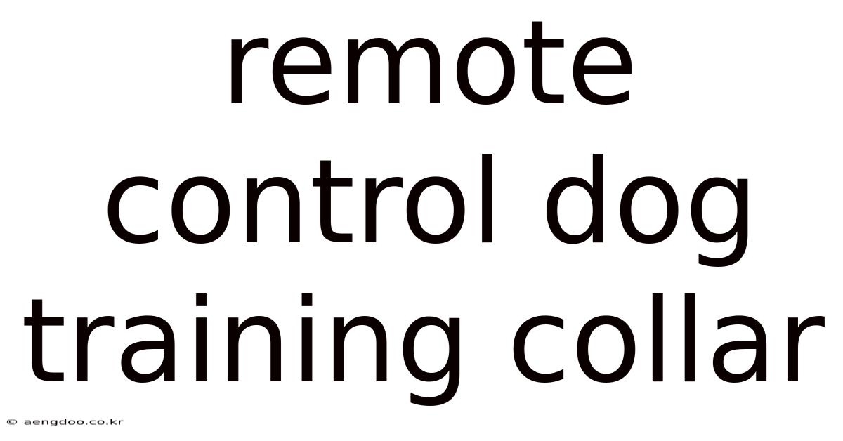 Remote Control Dog Training Collar