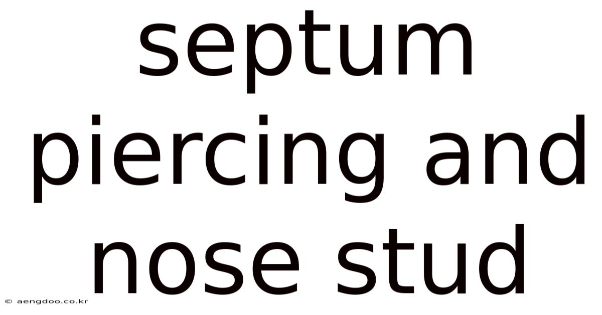 Septum Piercing And Nose Stud