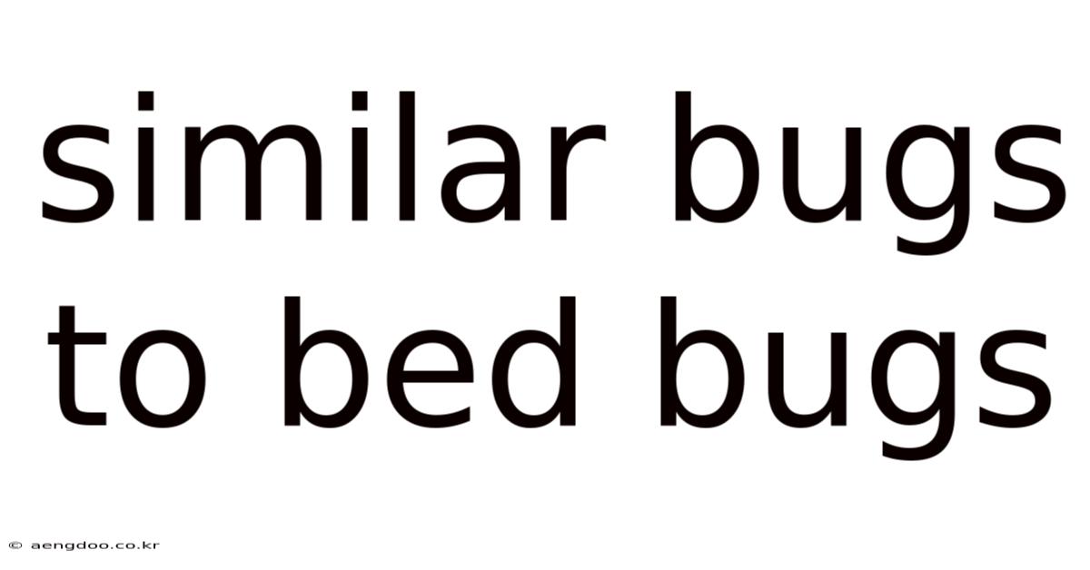 Similar Bugs To Bed Bugs