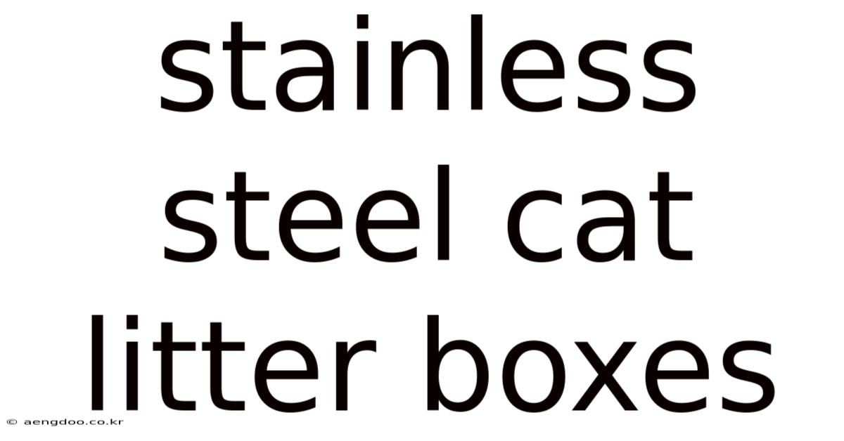 Stainless Steel Cat Litter Boxes