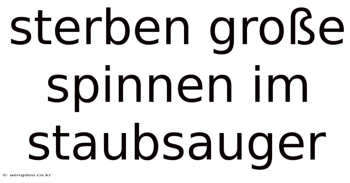 Sterben Große Spinnen Im Staubsauger