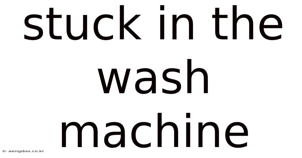 Stuck In The Wash Machine