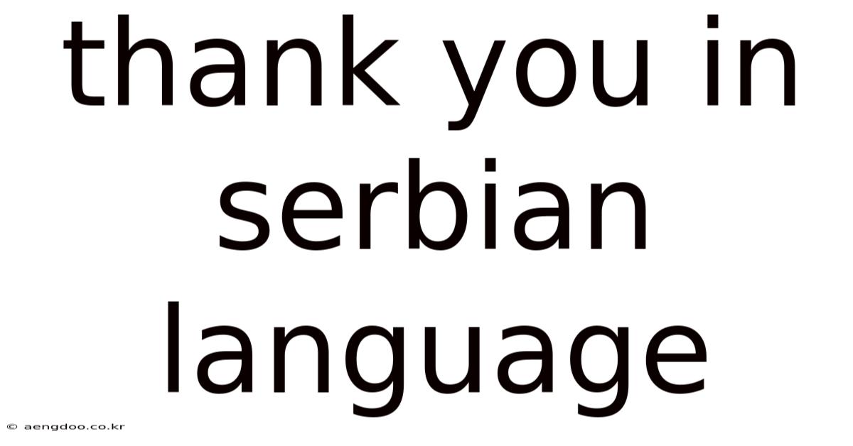 Thank You In Serbian Language