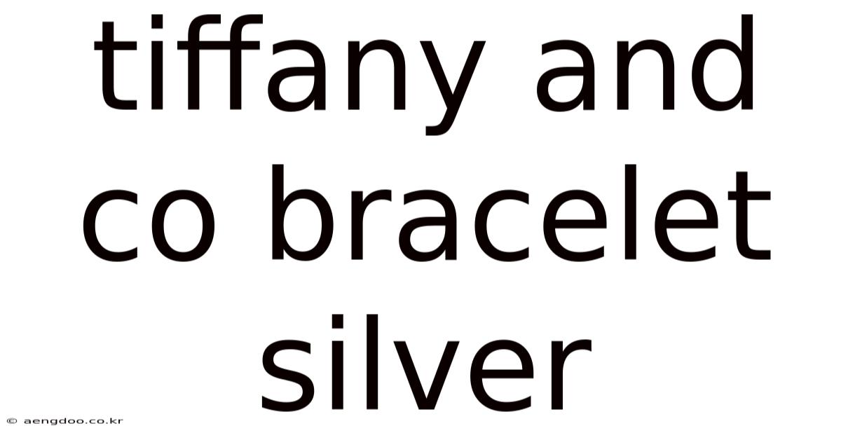 Tiffany And Co Bracelet Silver