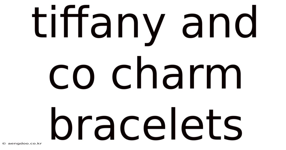 Tiffany And Co Charm Bracelets