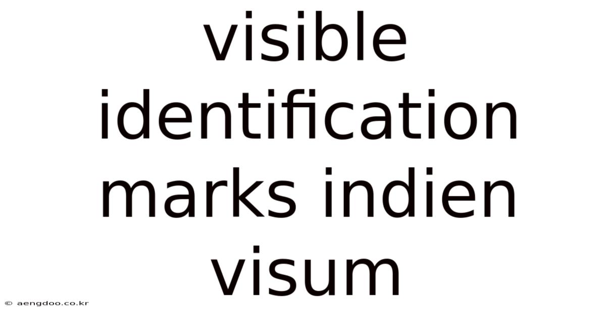 Visible Identification Marks Indien Visum