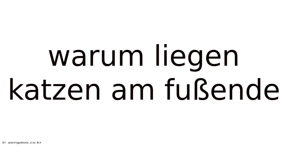 Warum Liegen Katzen Am Fußende