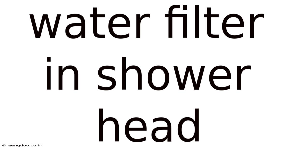 Water Filter In Shower Head