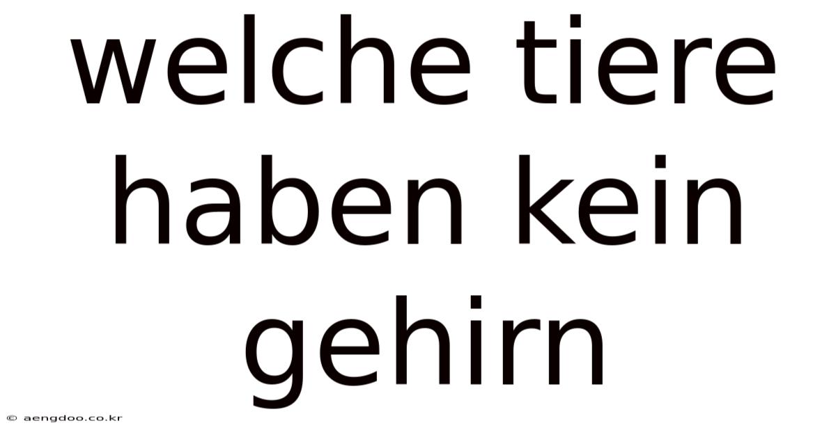 Welche Tiere Haben Kein Gehirn