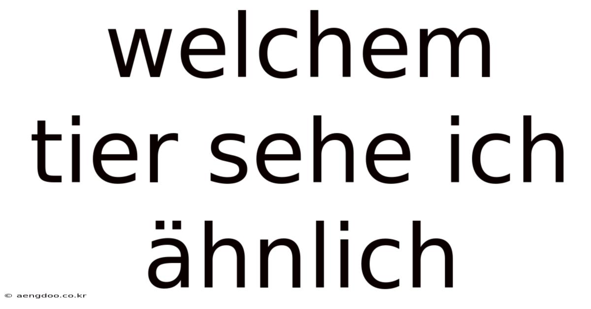 Welchem Tier Sehe Ich Ähnlich