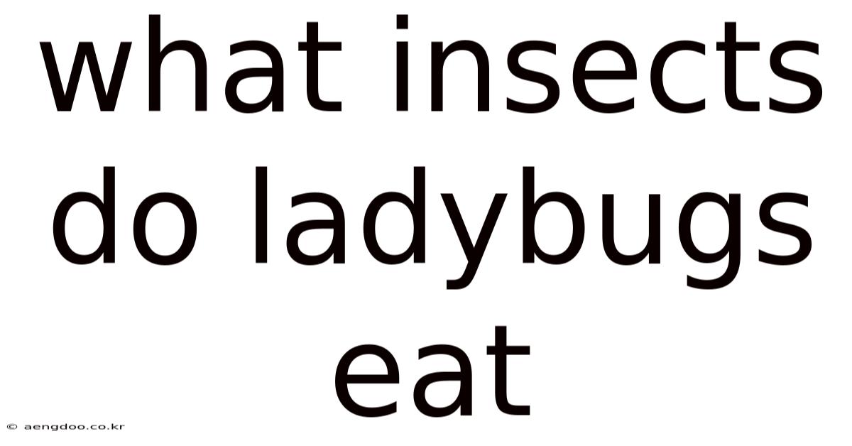 What Insects Do Ladybugs Eat
