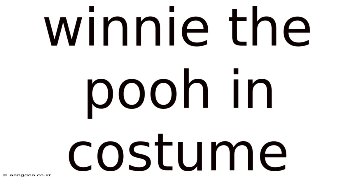 Winnie The Pooh In Costume