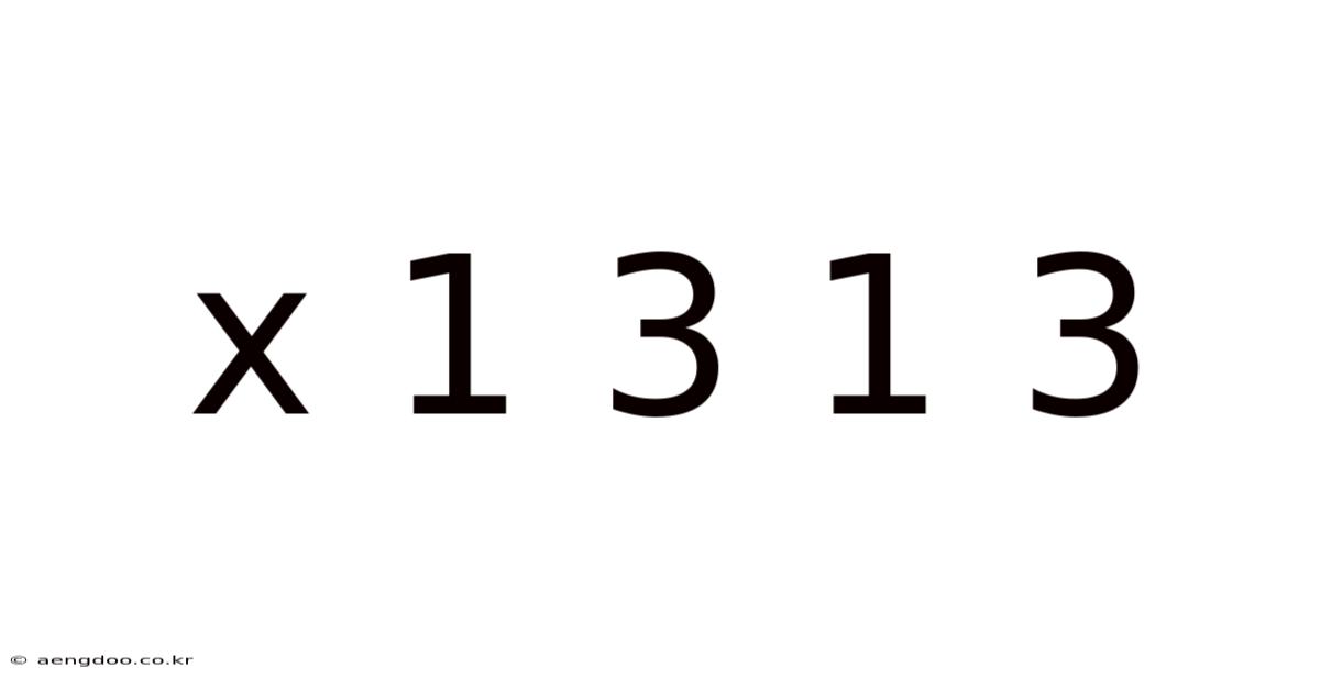 X 1 3 1 3